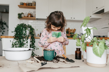 Little toddler girl planting dill herbs