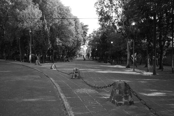 pedestrian road in the park