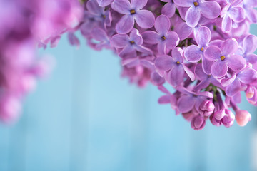 Spring and summer floral background