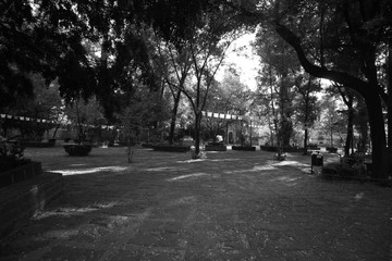 black and white park