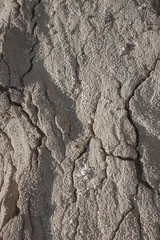 
Texture of gray sand with cracks