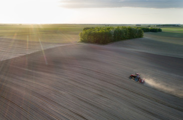 Tractor sowing land with corn seeds in spring time at sunset
