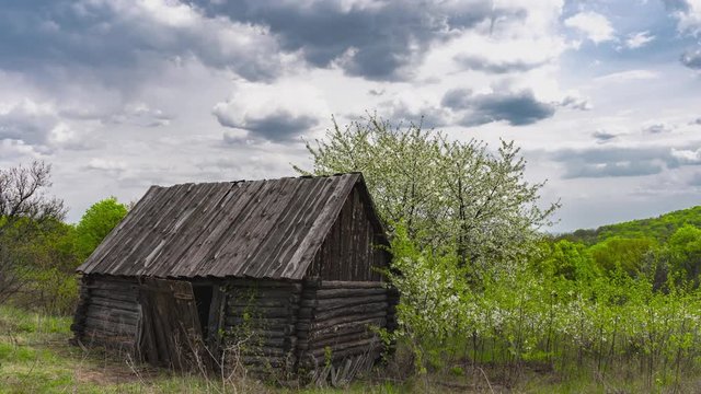 Old wooden house in the forest in cloudy weather.