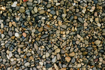 Various pebble stones for background in top view.