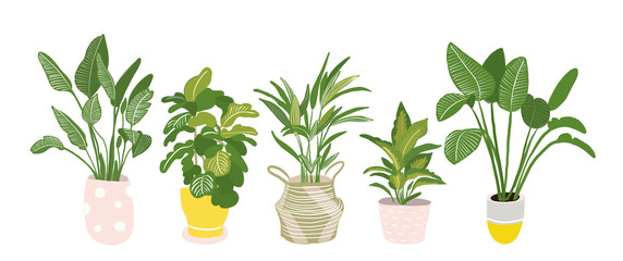 Fototapeta na wymiar potted plants collection. succulents and house plants. hand drawn vector illustration. Set of house indoor plant vector cartoon doodle.