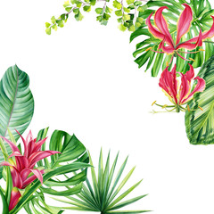 Fototapeta na wymiar Greeting card, tropical plants, palm leaves, monstera, calathea, strelitzia, fern, lilies, hibiscus flowers on white background