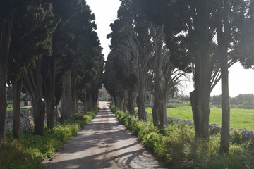 natura