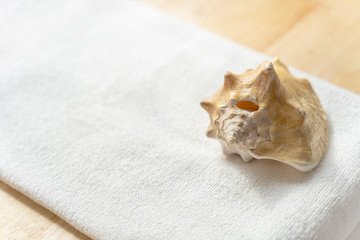 Huge natural seashell on a white towel on a wooden background