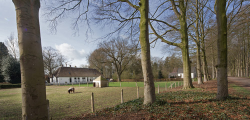 Old school Wilhelminaoord. Old school. Historic building. Monument.  Maatschappij van Weldadigheid Frederiksoord Drenthe Netherlands