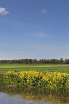 Polders at Wapserveen Drenthe Netherlands. Meadows.