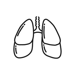 human lungs doodle icon, vector illustration