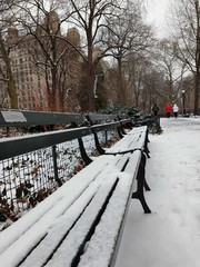 winter in the park