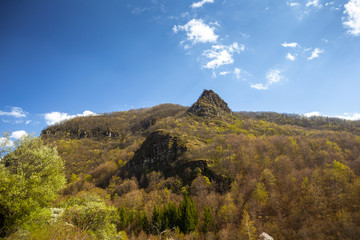Forests and meadows on old mountain (stara planina) in serbia