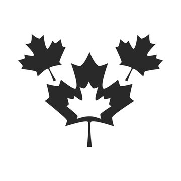 canada day, red maple leaves national symbol silhouette style icon