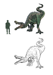 Baryonyx compared to human. Comparison between dinosaur and human. Dino coloring page.	