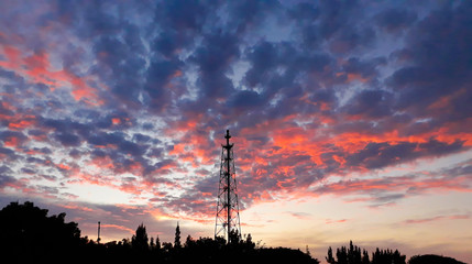 sunset in the forest