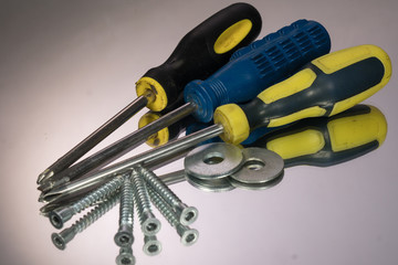 Screwdriver and wood screws isolated on gray background. mirror reflection