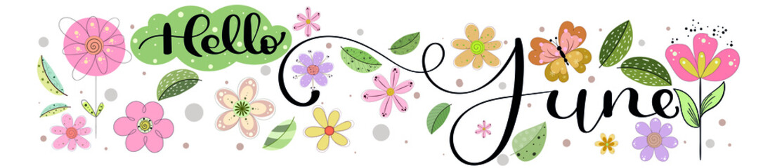 Hello June. JUNE month vector with flowers, butterflies and leaves. Decoration floral. Illustration month June	