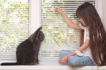 A girl is playing with a cat by the window. A little girl (seven years old) is sitting on a windowsill by the window and playing with a cat