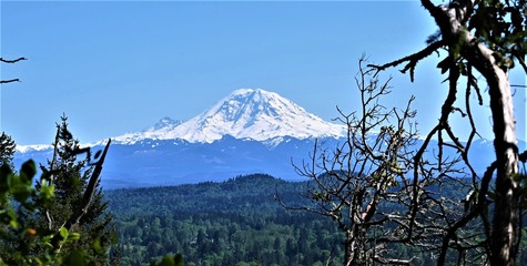 Mt Rainer