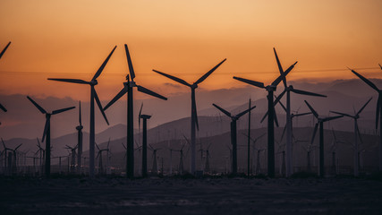 Wind Power Air Breeze Wind Generator turbines field in California. Green energy concept.