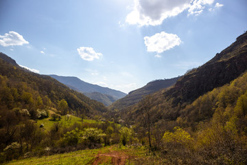 Road through forests and meadows on the old mountain (stara planina) in serbia at early spring
