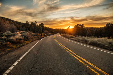 Scenic asphalt country road at sunset time in the forest