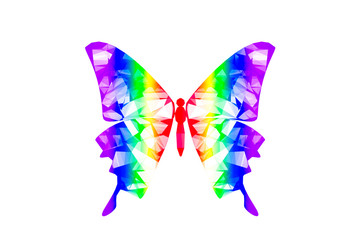 Illustration White background rainbow butterfly transform liberate human right of LGBT freedom concept. Proud and love to be. To celebrate gay pride, coming out of true gender and sexuality equality