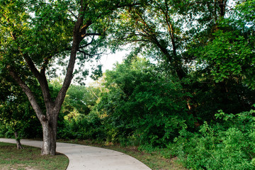 Fototapeta na wymiar Tree-lined greenbelt running along Live Oak Creek in McKinney, Texas, a northern suburb of Dallas, Texas.