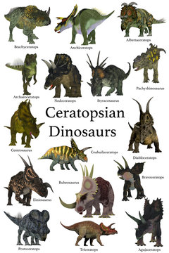 Ceratopsian Dinosaurs - A collection set of Ceratops beaked dinosaurs from the Cretaceous Period of the world's history of animals.