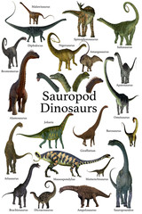 Sauropod Dinosaurs - This is a collection of herbivorous sauropod dinosaurs who have long necks and tails with small heads.