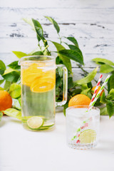 Homemade citrus infused water