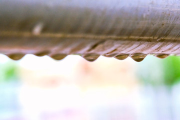 macro photo water droplets are flowing down color