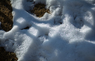 Fototapeta na wymiar Natural winter background with fresh snow texture at Nathatop, Patnitop Jammu 