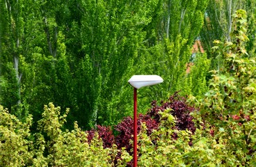 one lamppost in a park