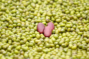Red kidney bean in heart shaped among green beans background, selective focus. Unique concepts