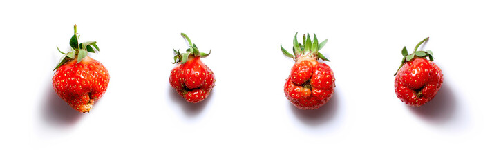 Trendy ugly food banner fresh red strawberry on white isolated background with shadows.  Misshapen produce, food waste problem concept