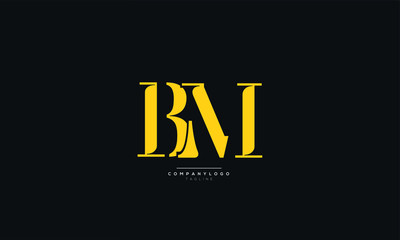 BM Letter Logo Alphabet Design Icon Vector Symbol