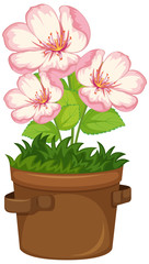 Beautiful flowers in the garden on white background