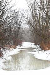 Creek in Winter
