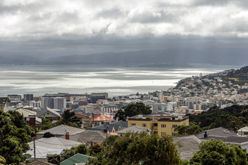 Obraz premium Wellington city harbor, New Zealand