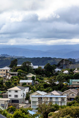 Fototapeta na wymiar View of Wellington city houses in New Zealand