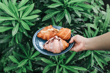 Hand holding blue plate with fresh sweet bake croissants for breakfast over in garden green...