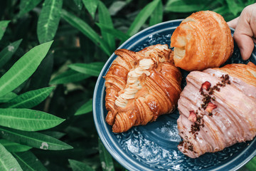 Hand holding blue plate with fresh sweet bake croissants for breakfast over in garden green background morning time.Cafe drinking menu hot coffee at restaurant. Healthy and diet meal.