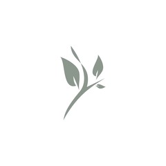 Obraz premium Premium tree logo design