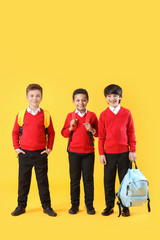 Fototapeta premium Cute little pupils on color background
