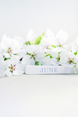 vertical image inscription june month on a wooden figure of a calendar in bloom of white fresh lush flowers with delicate petals and green leaves in light colors