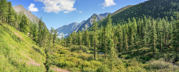 Mountain landscape, panoramic view. Valley covered with forest, a wild place in Siberia.