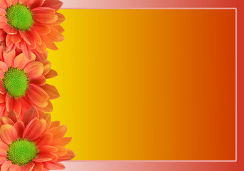 Greeting card background design with colour gradient sunflowers and copy space, trendy summer design template invitation for a special occasion.