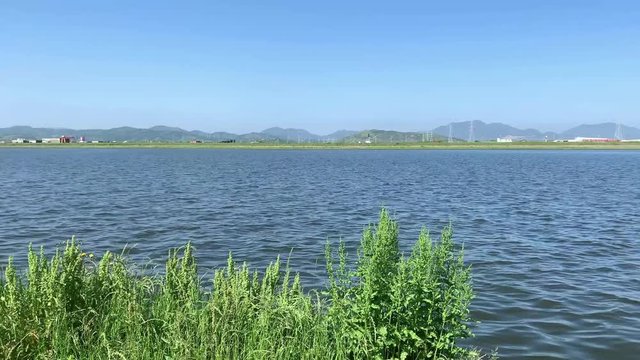 Wide river shot footage on a sunny and clear day with blue sky. 